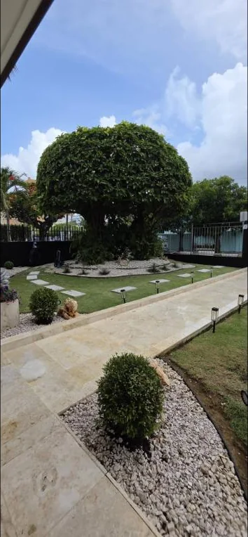 Patio con árbol topiary de gran tamaño esculpido en forma de copa, grama cortada, camino de losas y piso de mármol con iluminación